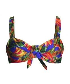 Farm Rio Bananamix Printed Bikini Top